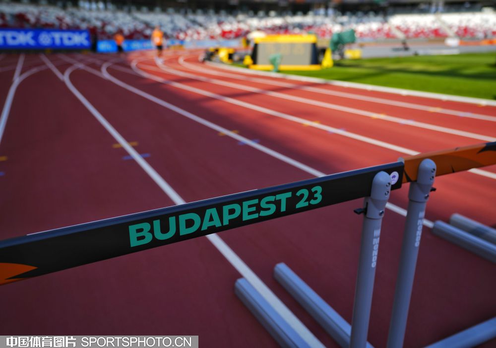 是他们需要 是他们需要