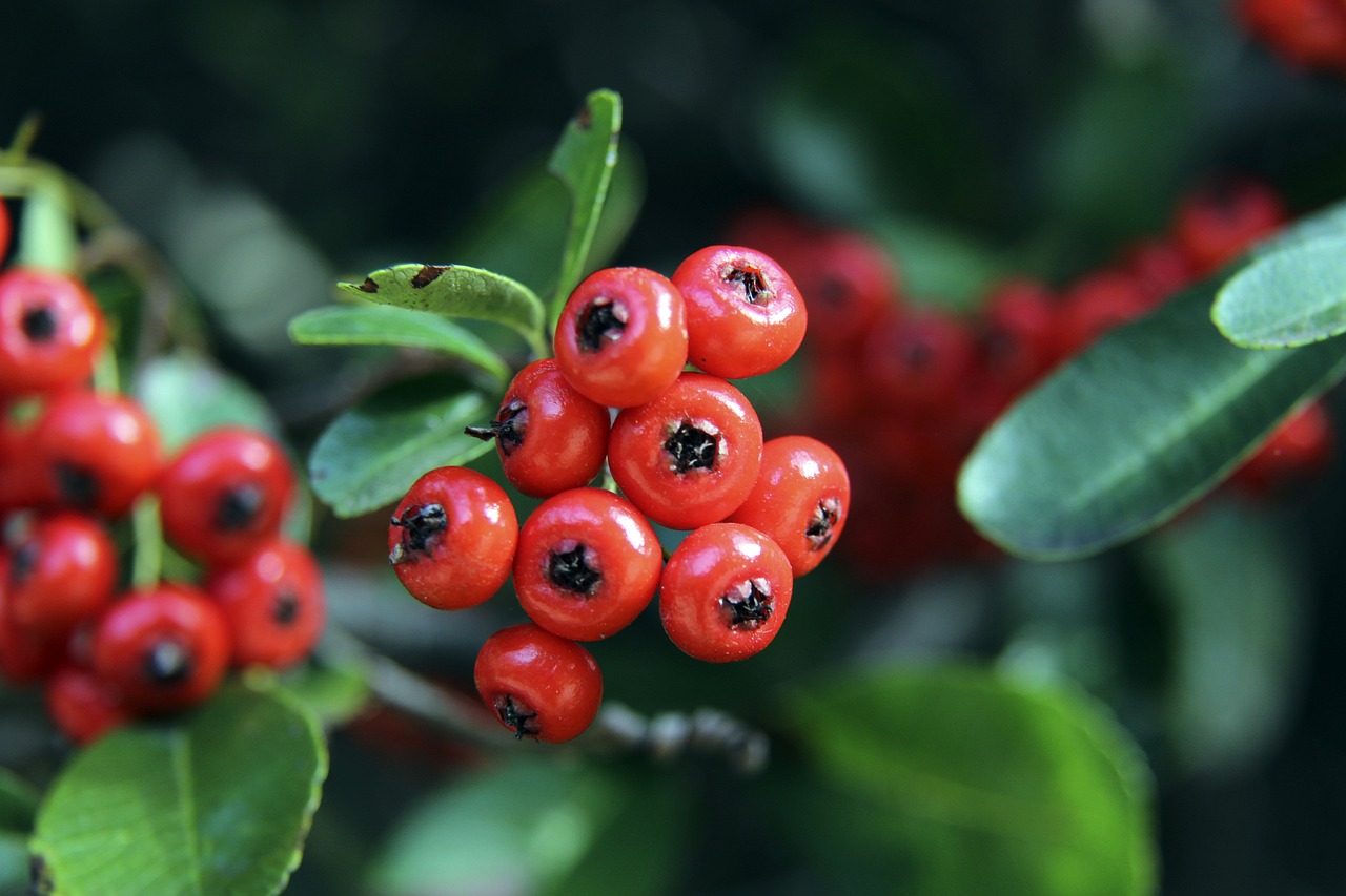 让人们看到 让人们看到