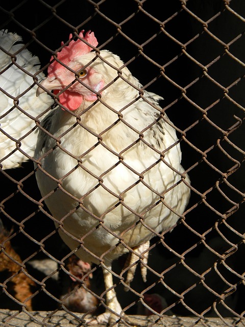 生代网球选 生代网球选