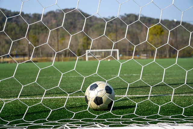 康宁汉姆作 康宁汉姆作