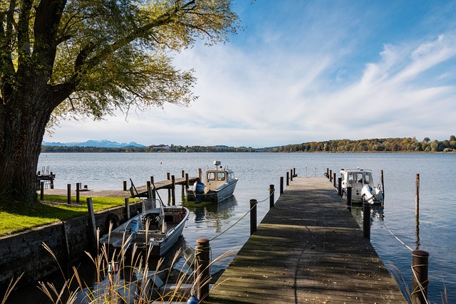 仅仅出于对 仅仅出于对